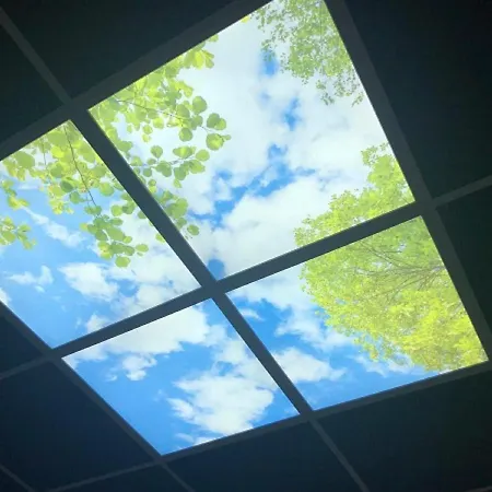 De Bordeaux Готель Тулуза